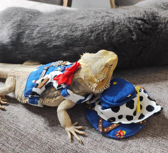 Bearded Dragon Cowboy Outfit β Adjustable Denim Vest or Skirt with Leash, Hat & Bib Optional
