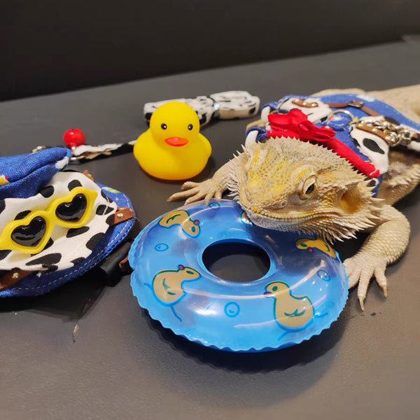 Bearded Dragon Cowboy Outfit β Adjustable Denim Vest or Skirt with Leash, Hat & Bib Optional