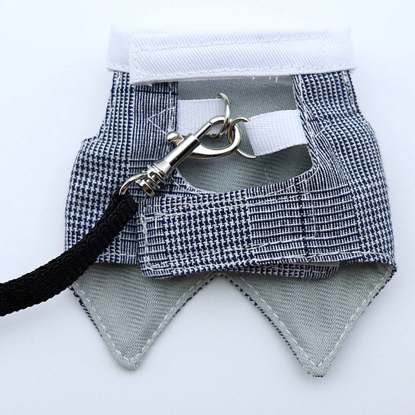 Bearded Dragon Clothes Set β Tuxedo, Dress, or Vest with Leash | Holiday & Everyday Wear for Small Pets
