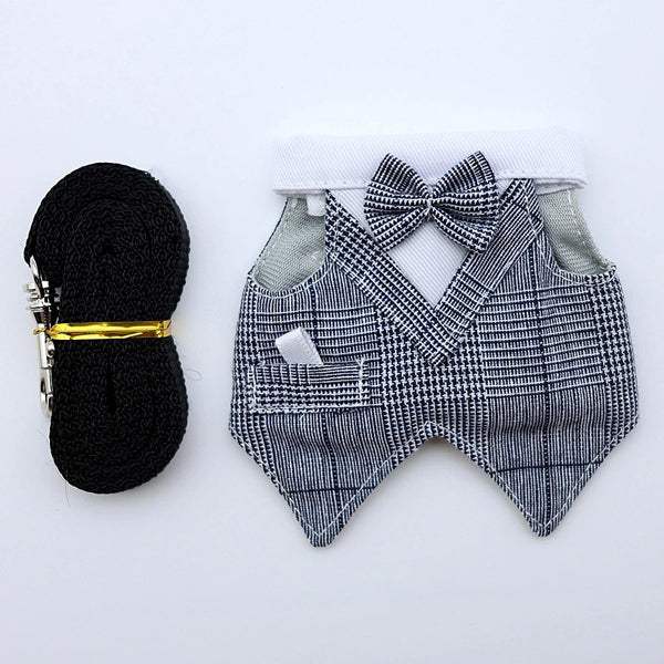 Bearded Dragon Clothes Set β Tuxedo, Dress, or Vest with Leash | Holiday & Everyday Wear for Small Pets