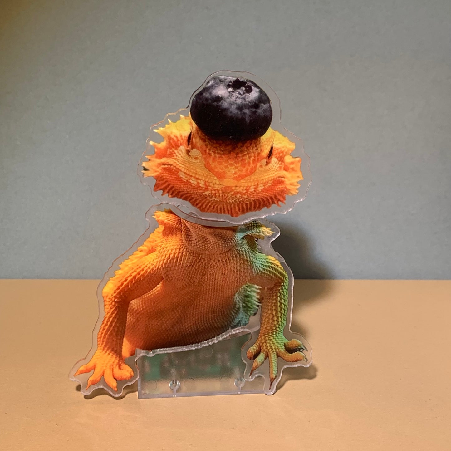 Custom Bearded Dragon Bobblehead, Personalized Pet Shaking Ornament, Desk & Home Decor, Car Accessory, Pet Lover Gift