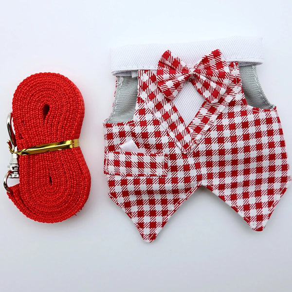 Bearded Dragon Clothes Set β Tuxedo, Dress, or Vest with Leash | Holiday & Everyday Wear for Small Pets