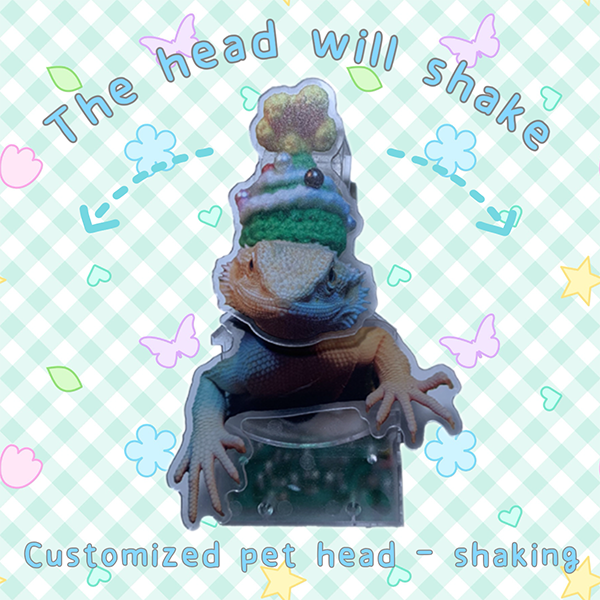 Custom Bearded Dragon Bobblehead, Personalized Pet Shaking Ornament, Desk & Home Decor, Car Accessory, Pet Lover Gift