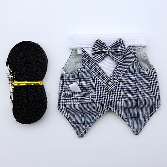 Bearded Dragon Clothes Set – Tuxedo, Dress, or Vest with Leash | Holiday & Everyday Wear for Small Pets