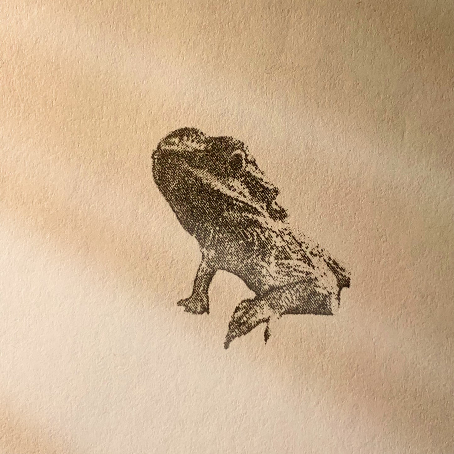 Custom Bearded Dragon Pet Portrait Stamp, Personalized Animal Self-Inking Stamp, Custom Cat Dog Bird Reptile Seal, Bookkeeping Memento Gift Idea