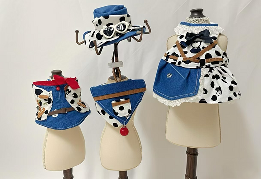 Bearded Dragon Cowboy Outfit – Adjustable Denim Vest or Skirt with Leash, Hat & Bib Optional